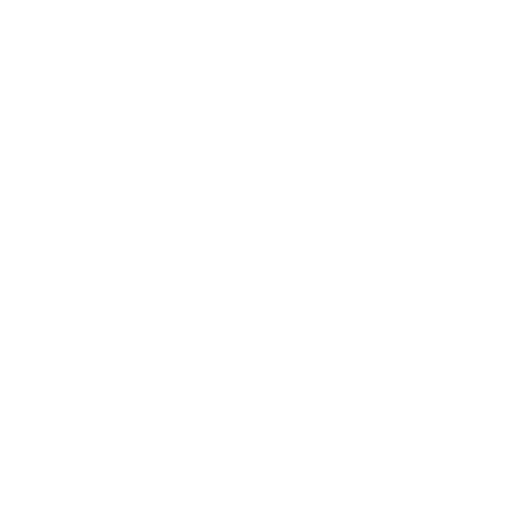 Z WebDev